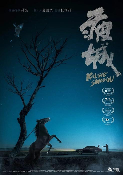 作假共立药科大学毕业证